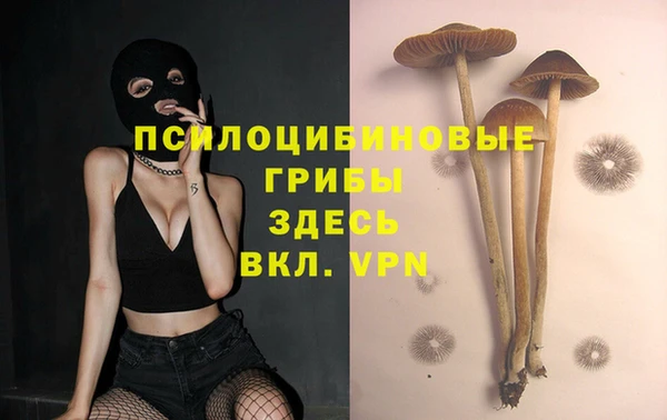 бутират Баксан