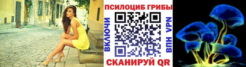 купить наркотик  Фролово  Псилоцибиновые грибы мухоморы 